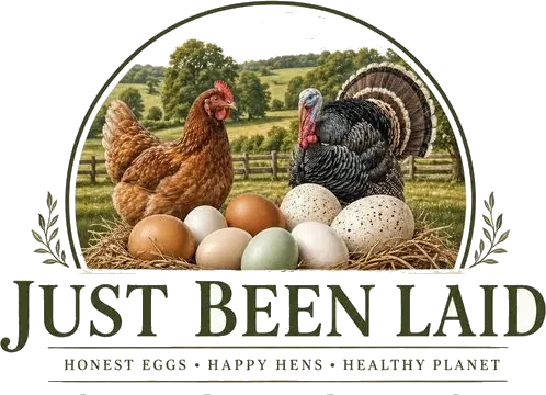 Just Been Laid roundel — honest eggs, happy hens, healthy planet